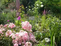 DSCN9560.webp