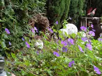 P1010025.webp