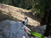 100_6303.webp