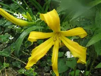 041_1024x768.webp
