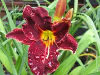 047_1024x768.webp