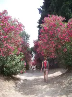 100_6453.webp