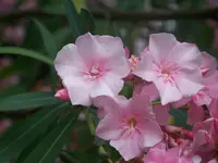 100_6347.webp