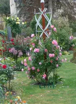 Obelisk ..... (2).webp