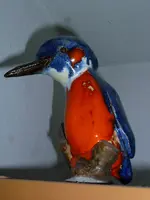 Pyromellas Eisvogel.webp