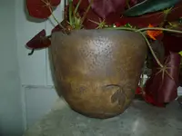 Pyromellas Schiefblatttopf.webp