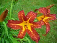k-DSCI3655.webp