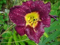 k-DSCI3656.webp