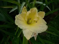 k-DSCI3657.webp