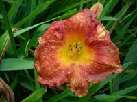 k-DSCI3658.webp