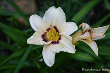 DSC_4977.webp