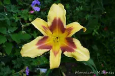 DSC_4981.webp