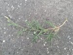 20150720_185755.jpg