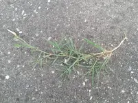 20150720_185755.webp