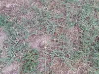 20150720_185850.webp