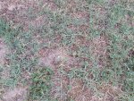 20150720_185850.jpg