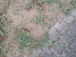 20150720_185908.jpg