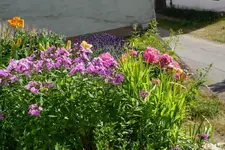 DSC03503.webp
