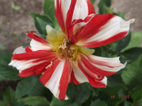 DSCF7136l.webp