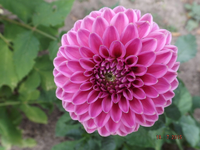 DSCF7137l.webp