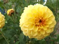 DSCF7138l.webp