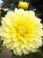 DSCF7142l.webp