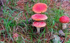 IMG_8795 v (1).webp