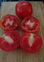 Haubners Vollendung.webp