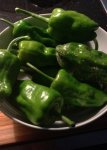 Chili Piemento de Padron.jpg