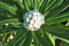 DSCF2273 (2).webp