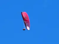 IMG_1289v.JPG