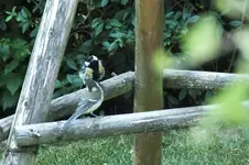 DSCF2306.webp