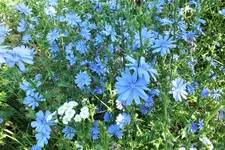 DSCF2236 (2).webp