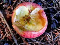 2015_04_24J&B (69)v.webp