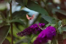 11011557_824122694337331_2008702359696280659_o.webp
