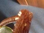 20150721_152747.jpg