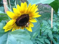 image.webp