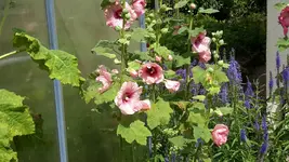 20150721_131041.jpg