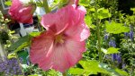 20150721_130821.jpg
