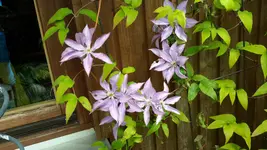 20150721_130936.jpg