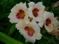 k-DSCI3660.webp