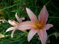 k-DSCI3661.webp