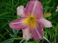 k-DSCI3662.webp