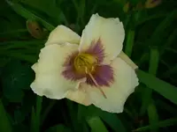 k-DSCI3663.webp