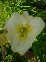 k-DSCI3664.webp