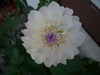 k-DSCI3665.webp