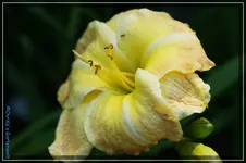 comp_DSC04290.webp
