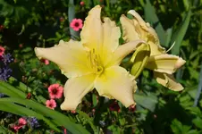 DSC_4989.webp