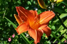 DSC_4993.webp