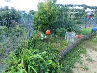 CIMG1202.webp
